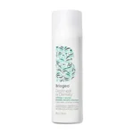 density-shampoo-briogeo