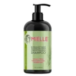 rosemary-mint-biotin-shampoo